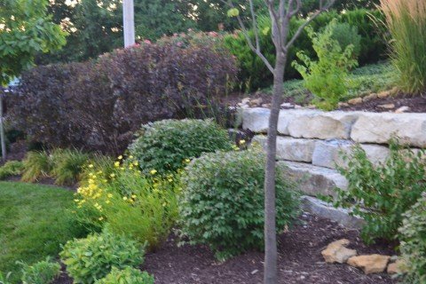 Lawn Care Maintenance in Lawrence, Kansas