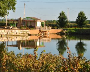 Tree & Shrub Farm in Lawrence, KS