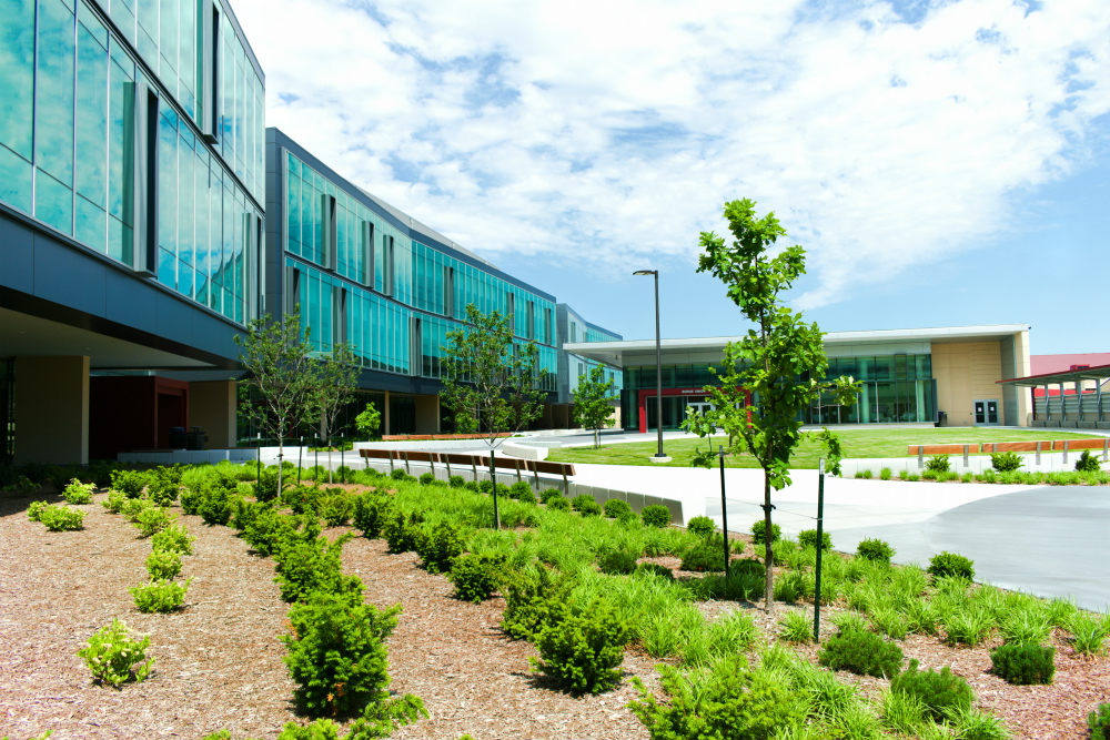 landscaping for commercial office building