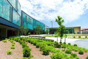 commercial irrigation