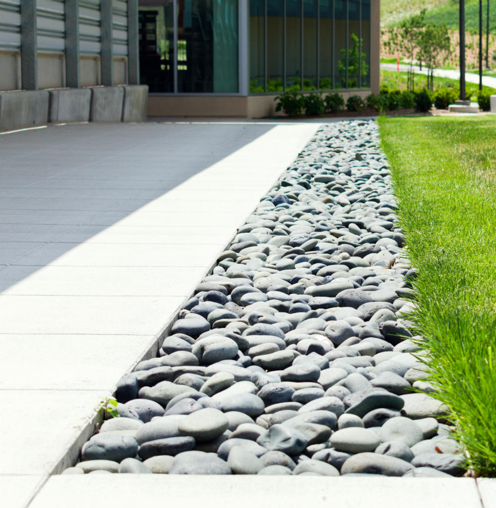 commercial landscaping for a walkway