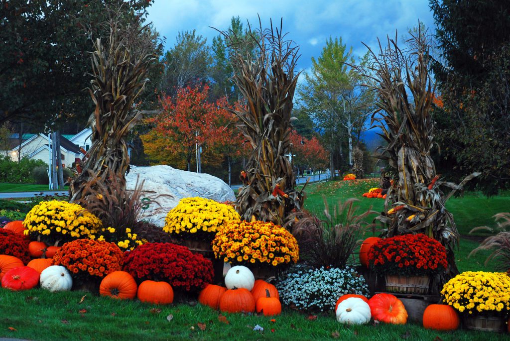 fall landscaping ideas 2019