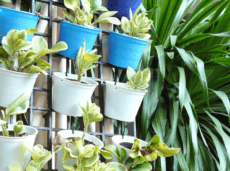 potted plants hanging on wall