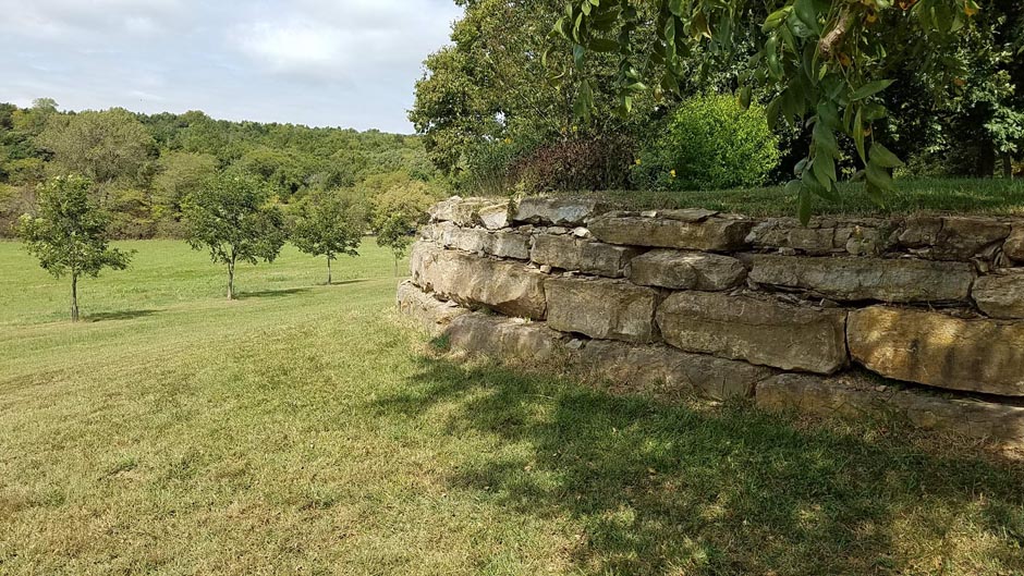 stone wall in backyard before our project