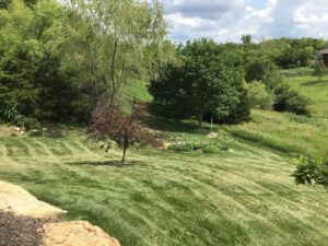trimmed green grass with forests lining the perimeter