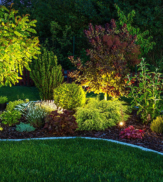 Illuminated garden at night
