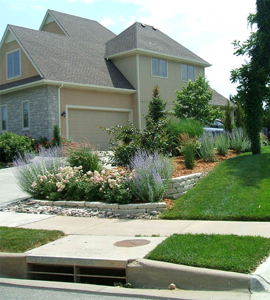 Landscape after renovation