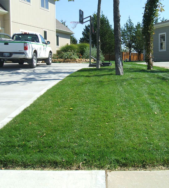 Property before landscape renovation